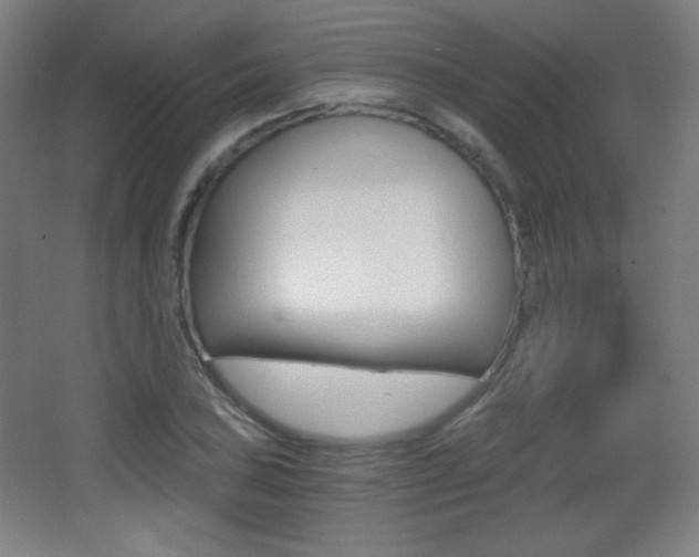 X0000068261027200604210909