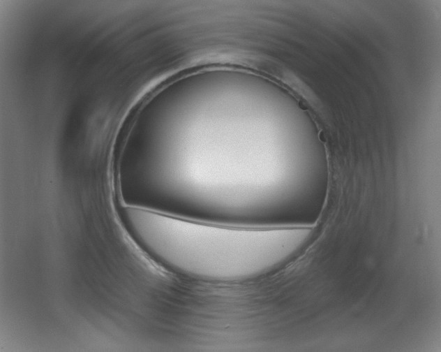 X0000068261028200604210909