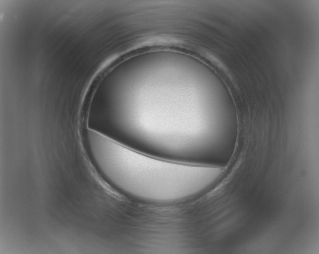 X0000068261029200604210909