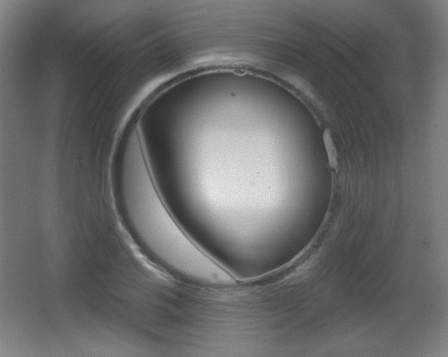 X0000068261030200604210909