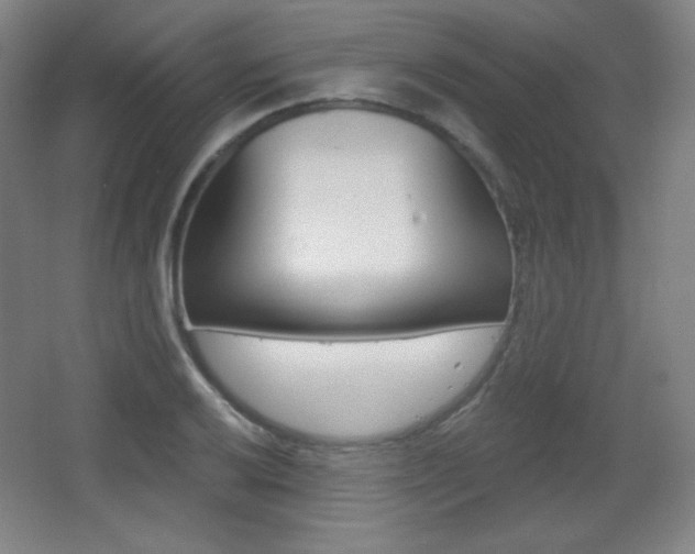X0000068261032200604210909