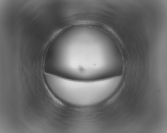 X0000068261033200604210909