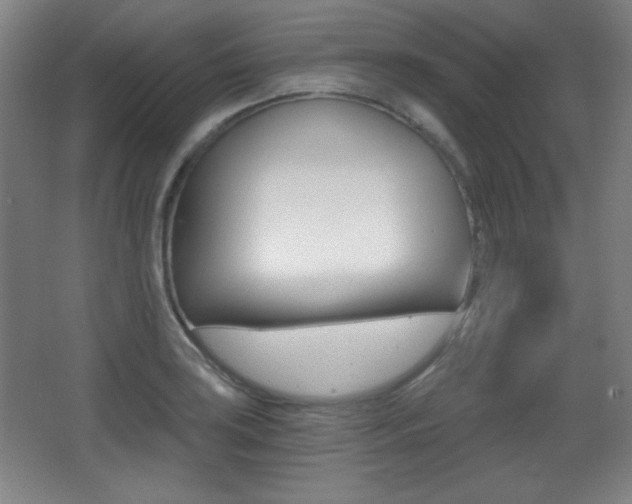 X0000068261035200604210909
