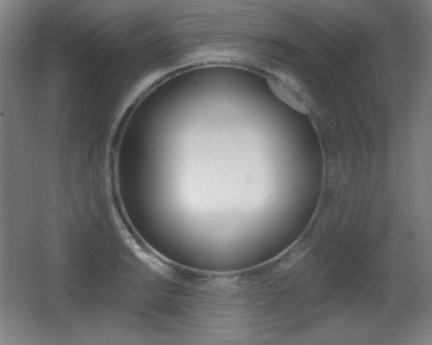 X0000068261038200604210909