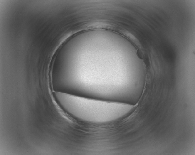 X0000068261039200604210909