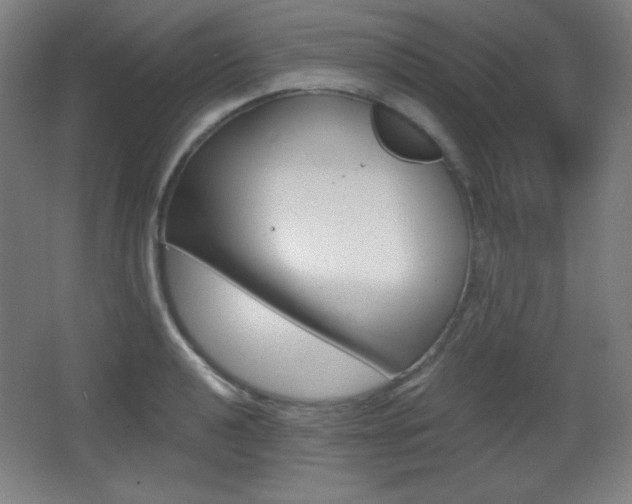 X0000068261040200604210909