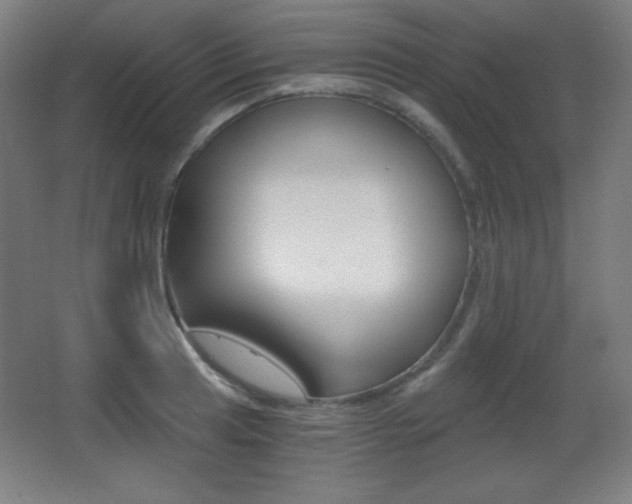 X0000068261041200604210909