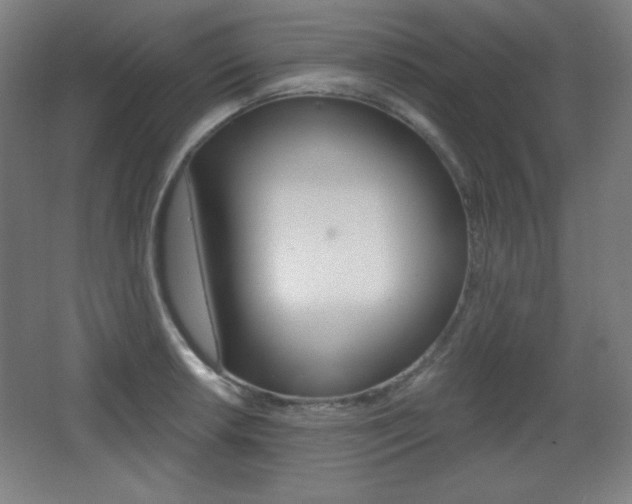 X0000068261042200604210909