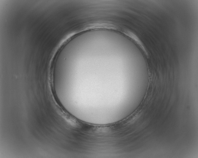 X0000068261043200604210909