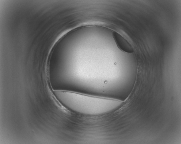 X0000068261044200604210909