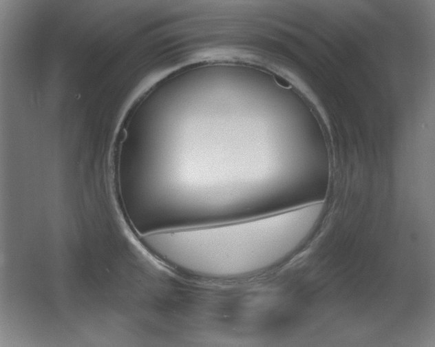 X0000068261045200604210909