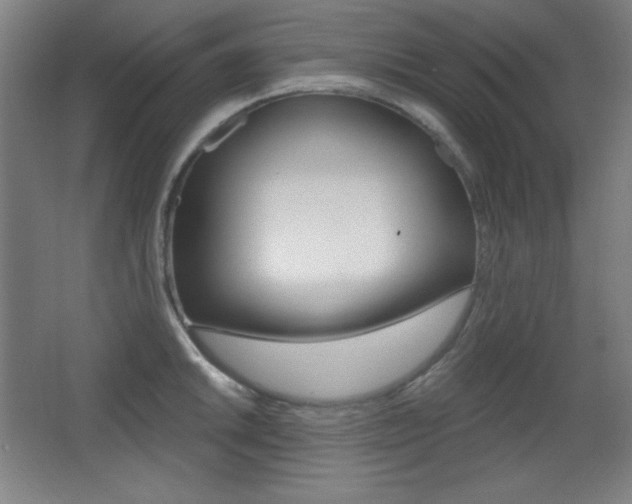 X0000068261046200604210909