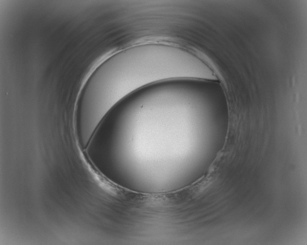 X0000068261050200604210909