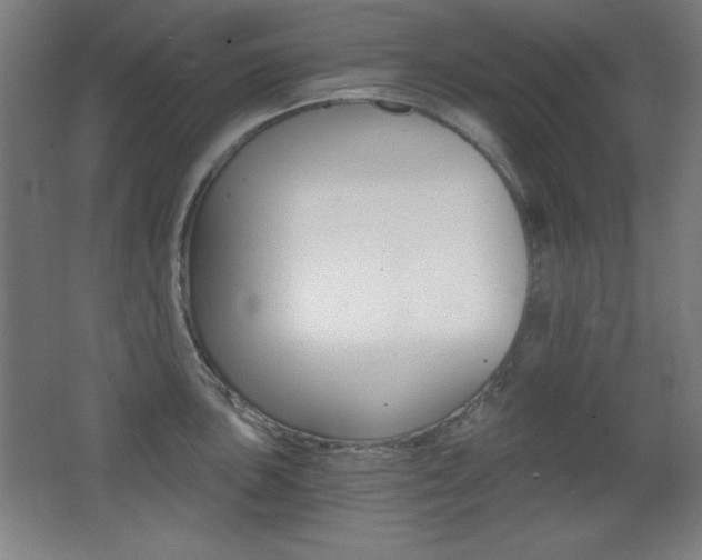 X0000068261051200604210909