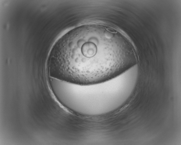 X0000068261053200604210909