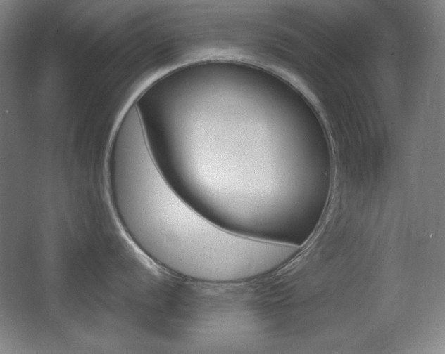 X0000068261056200604210909