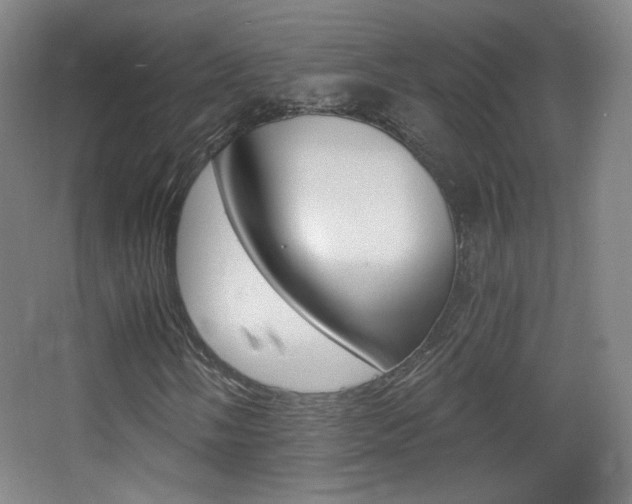 X0000068261058200604210908
