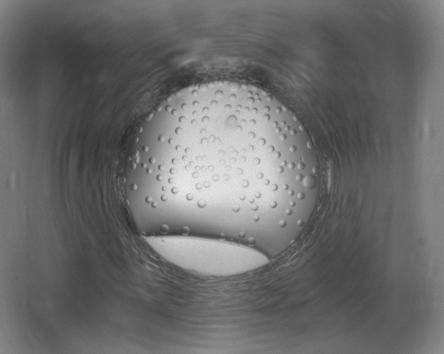 X0000068261059200604210908