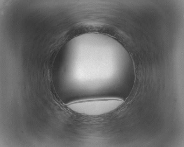 X0000068261061200604210908
