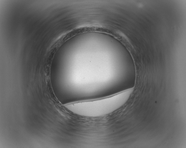 X0000068261064200604210908