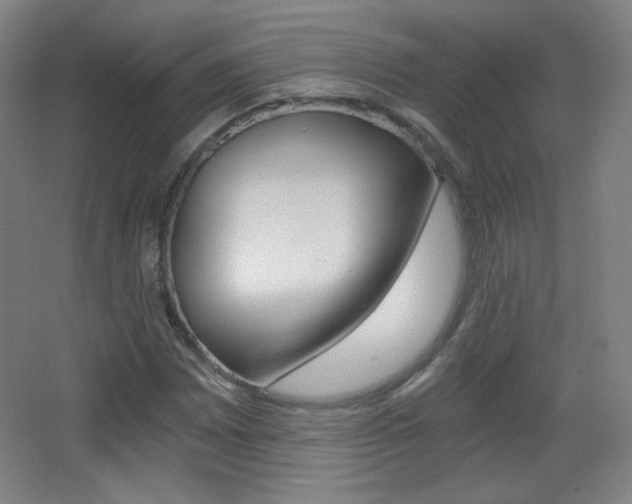 X0000068261065200604210908