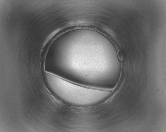 X0000068261066200604210908
