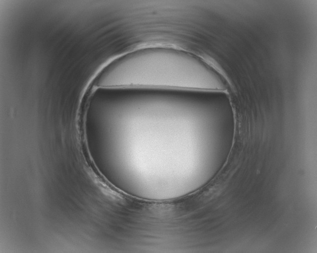X0000068261068200604210908