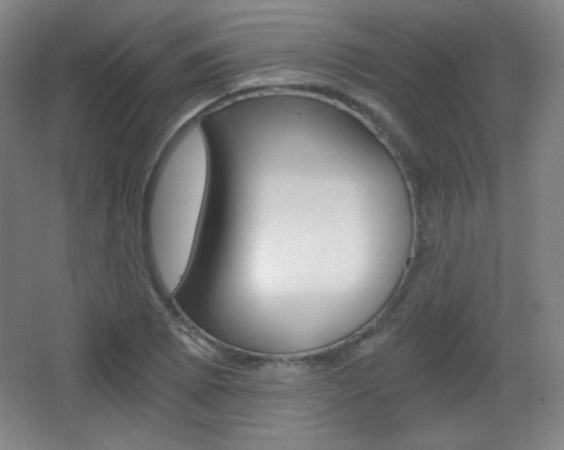 X0000068261073200604210908