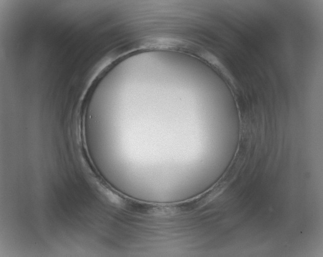 X0000068261083200604210908