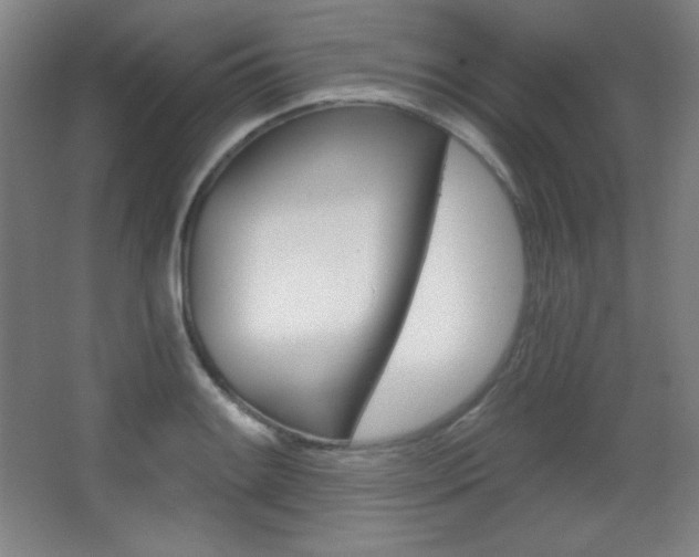 X0000068261084200604210908