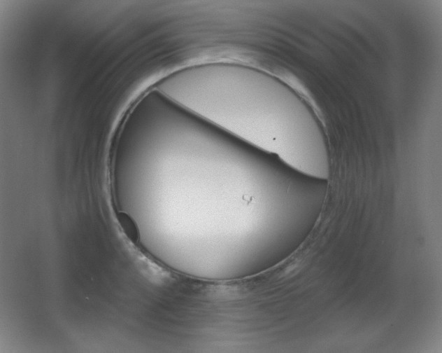 X0000068261088200604210908