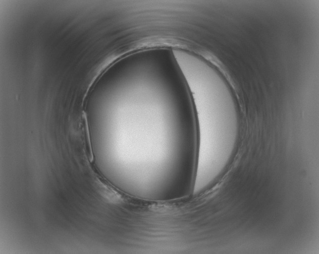 X0000068261089200604210908