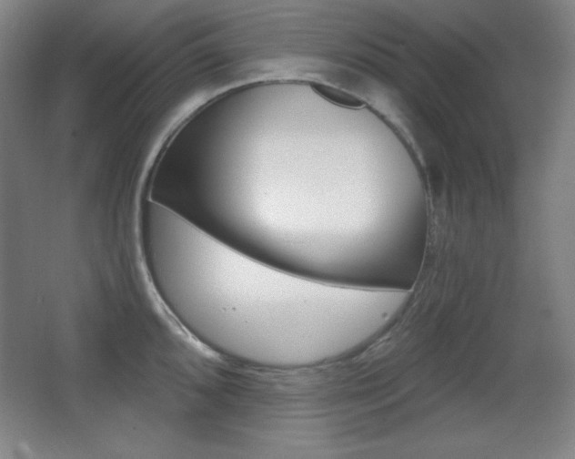 X0000068261096200604210908