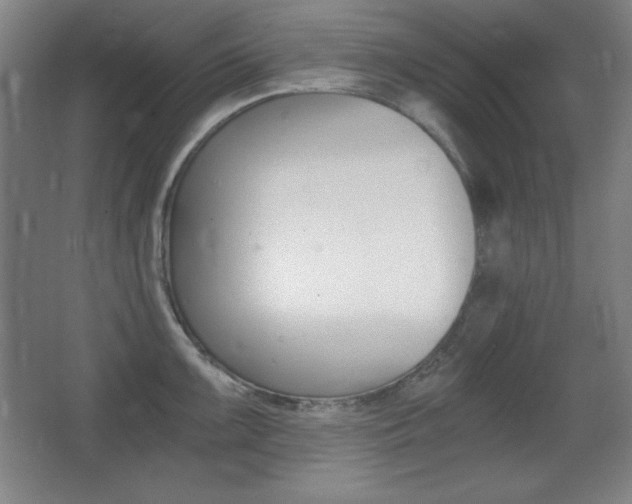 X0000068261099200604210908