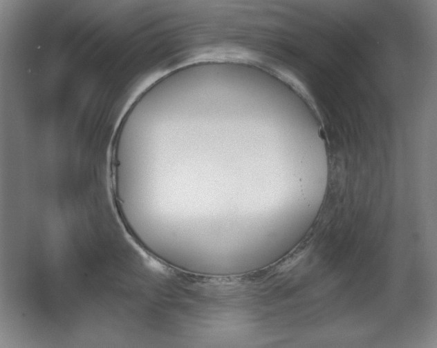 X0000068261103200604210908