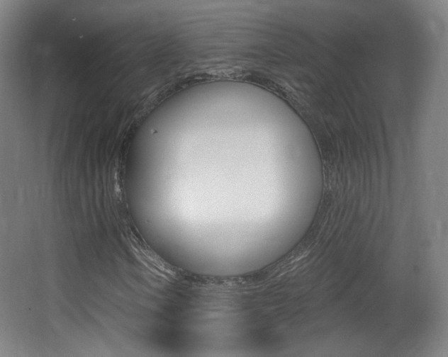 X0000068261106200604210907