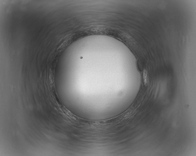 X0000068261107200604210907
