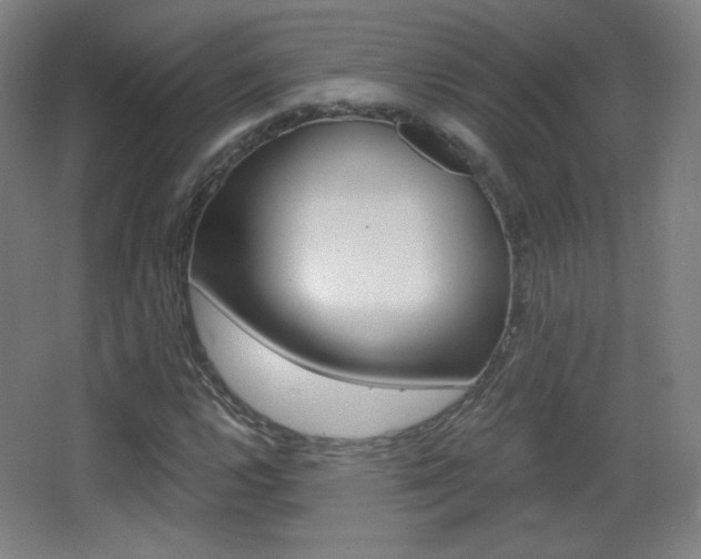 X0000068261112200604210907