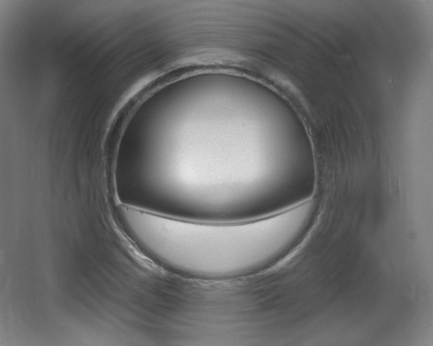 X0000068261114200604210907