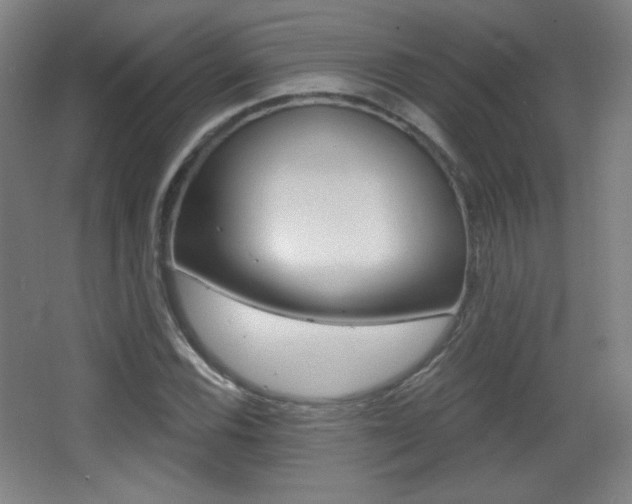 X0000068261116200604210907