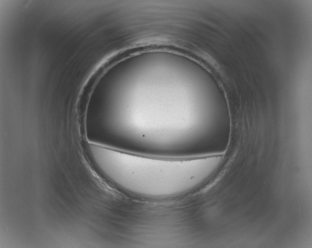 X0000068261118200604210907
