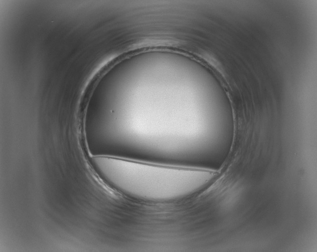 X0000068261119200604210907