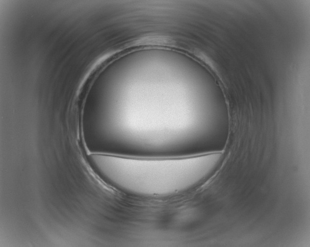 X0000068261123200604210907
