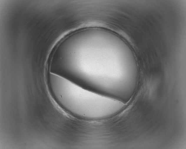 X0000068261126200604210907