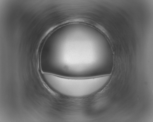 X0000068261127200604210907