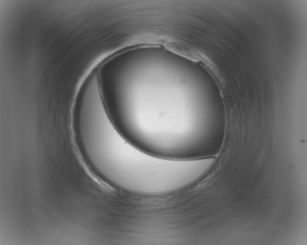 X0000068261128200604210907