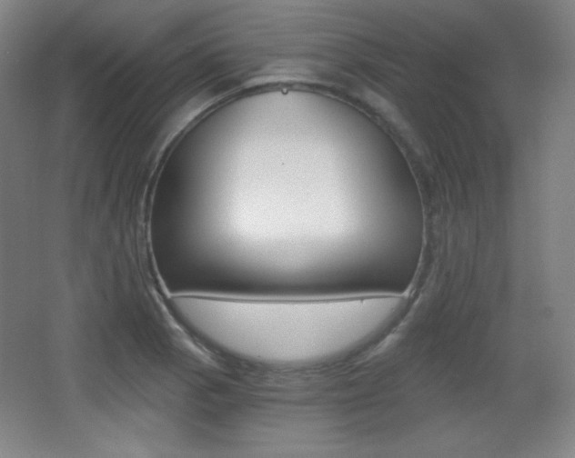 X0000068261129200604210907