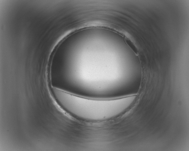 X0000068261134200604210907