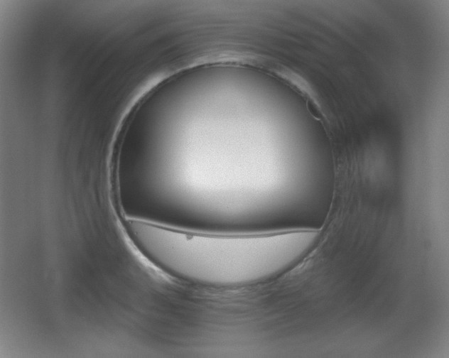 X0000068261135200604210907