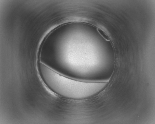 X0000068261136200604210907
